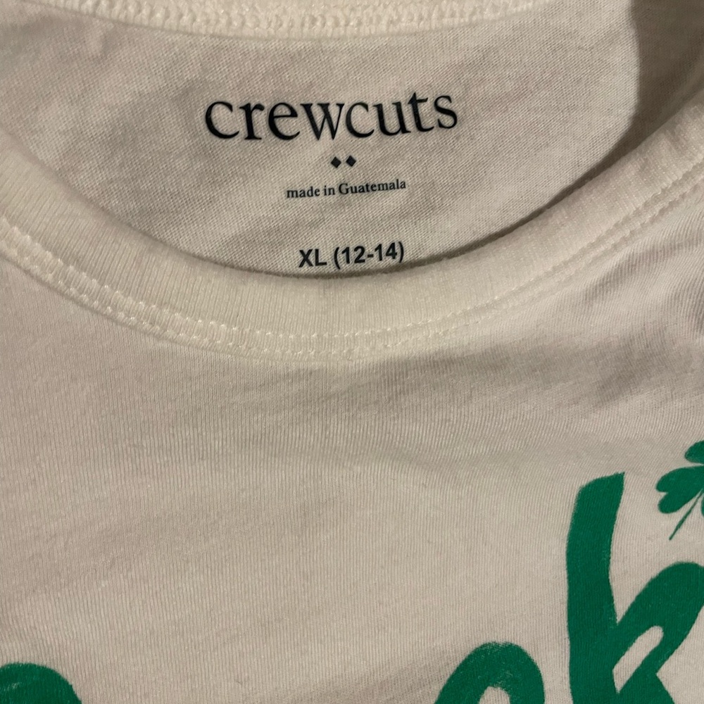 J Crew Crewcuts Lucky Dude White Cotton Tee with Green St Patty's Day Graphic - Picture 3 of 4